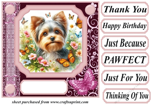 Pink butterfly pup card front 8