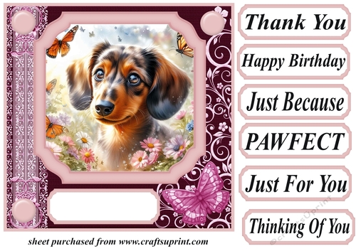 Pink butterfly pup card front 9