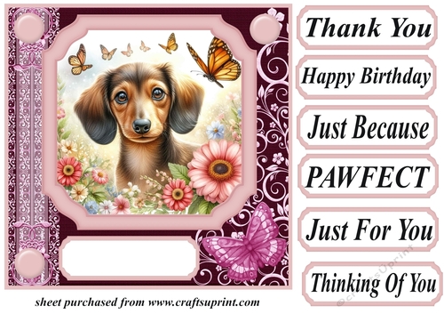 Pink butterfly pup card front 10