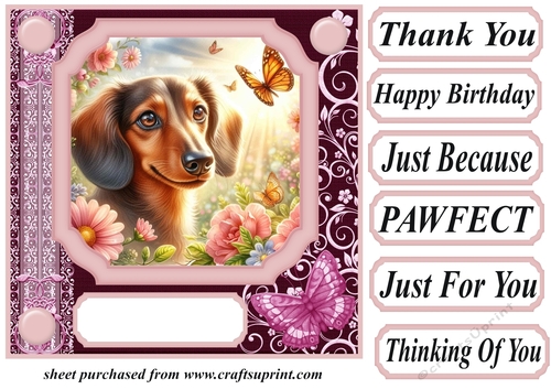 Pink butterfly pup card front 11