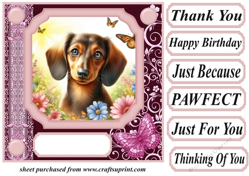 Pink butterfly pup card front 12