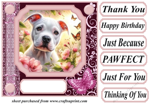 Pink butterfly pup card front 17