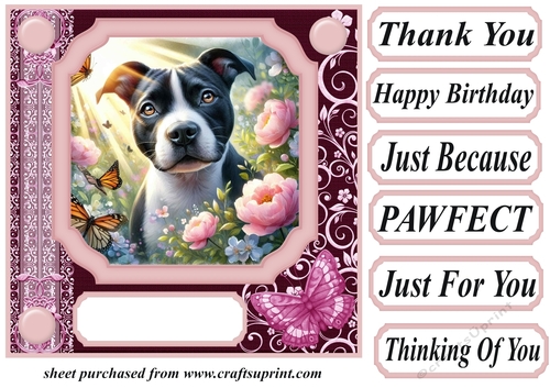 Pink butterfly pup card front 18