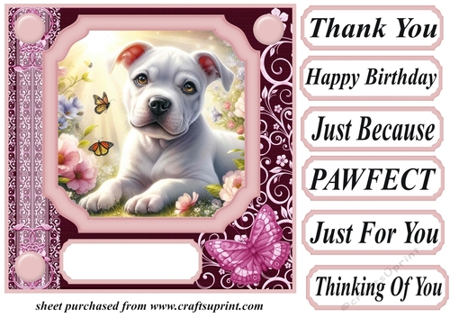 Pink butterfly pup card front 19