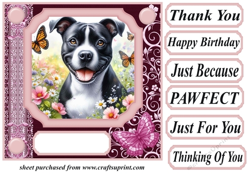 Pink butterfly pup card front 20