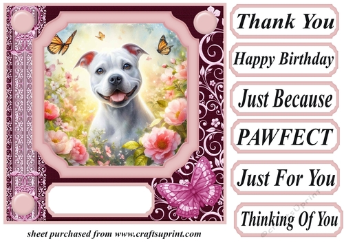 Pink butterfly pup card front 21