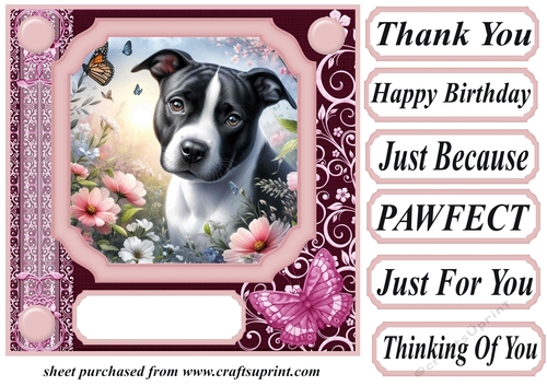 Pink butterfly pup card front 22