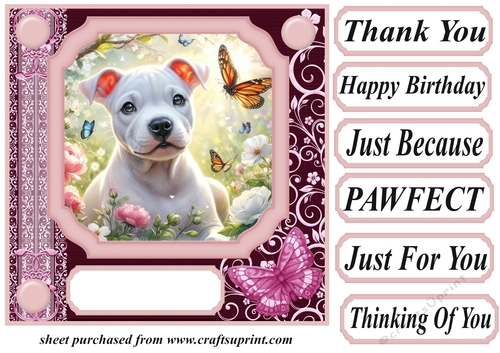 Pink butterfly pup card front 23
