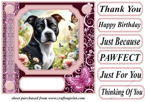 Pink butterfly pup card front 24