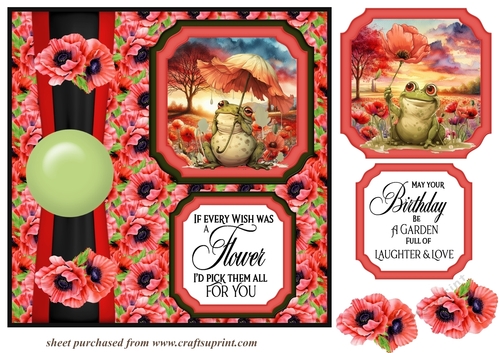 2 Panel poppy frog card front 1