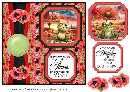 2 Panel poppy frog card front 5