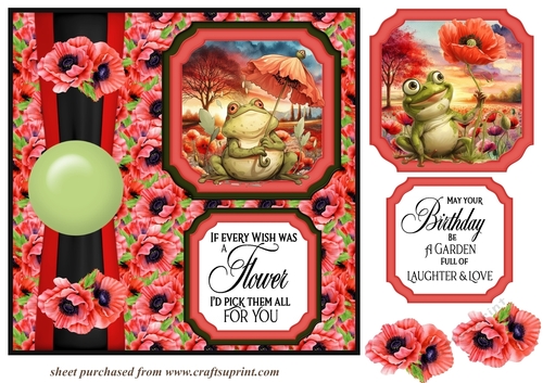 2 Panel poppy frog card front 6
