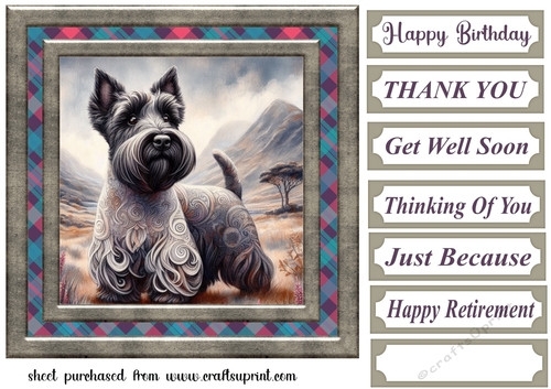 Framed Scottish pup card front 3