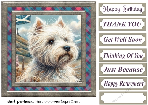 Framed Scottish pup card front 5