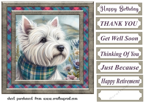 Framed Scottish pup card front 6