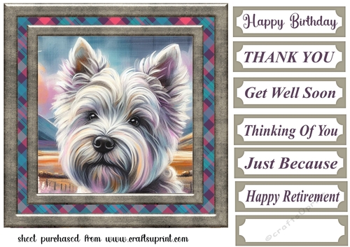 Framed Scottish pup card front 11