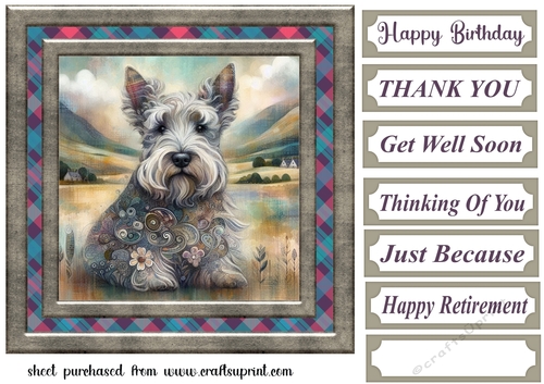 Framed Scottish pup card front 12