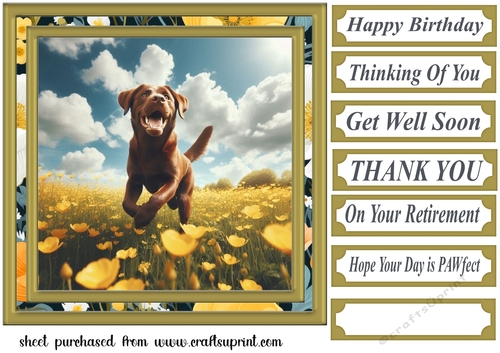 Labrador in buttercup field card front 1