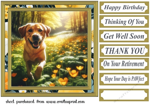 Labrador in buttercup field card front 2