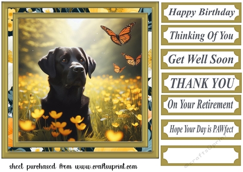 Labrador in buttercup field card front 3