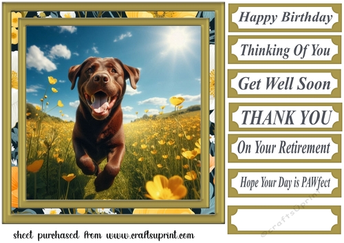 Labrador in buttercup field card front 4
