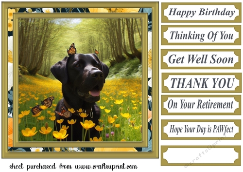 Labrador in buttercup field card front 6