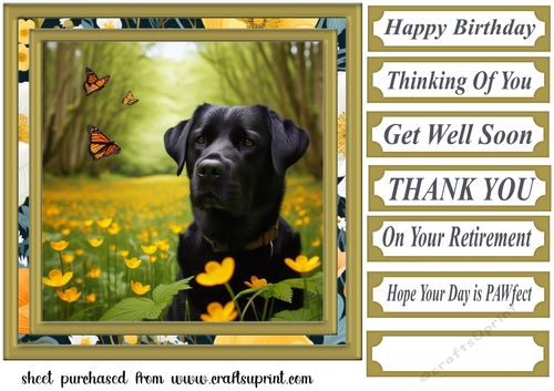Labrador in buttercup field card front 7