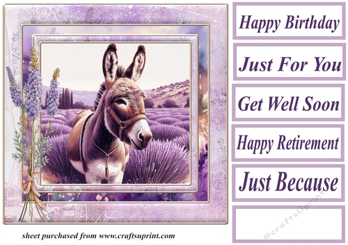 Donkey in a field of lavender card front 1