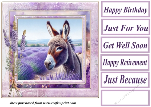 Donkey in a field of lavender card front 2