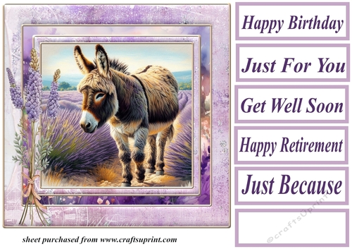 Donkey in a field of lavender card front 3