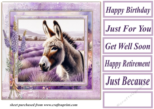 Donkey in a field of lavender card front 4