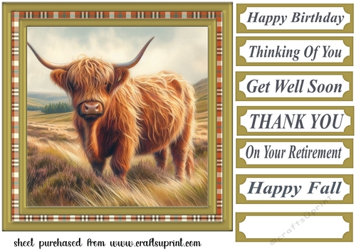 Tartan framed Highland cow card front 2