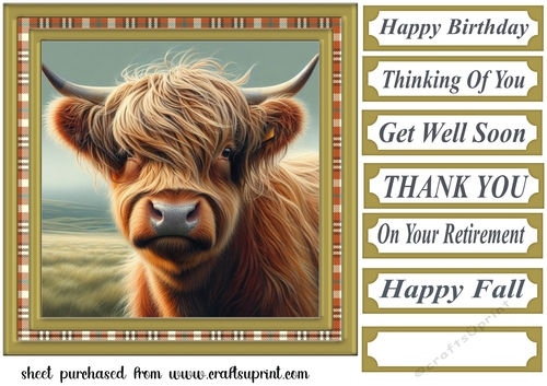 Tartan framed Highland cow card front 3