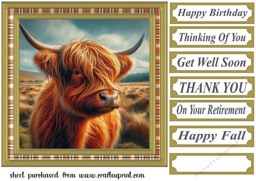 Tartan framed Highland cow card front 4
