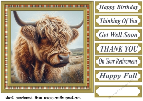 Tartan framed Highland cow card front 5