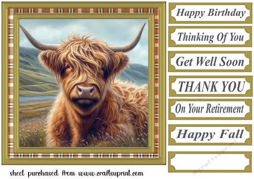 Tartan framed Highland cow card front 6