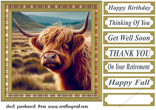 Tartan framed Highland cow card front 7