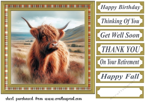 Tartan framed Highland cow card front 8