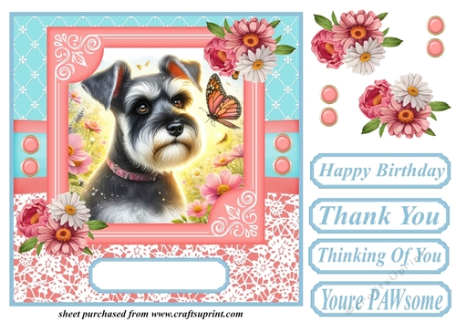 Pink and blue floral butterfly pup card front 1