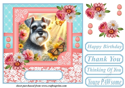 Pink and blue floral butterfly pup card front 3
