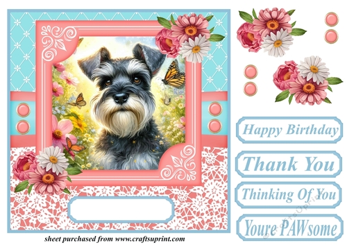 Pink and blue floral butterfly pup card front 4