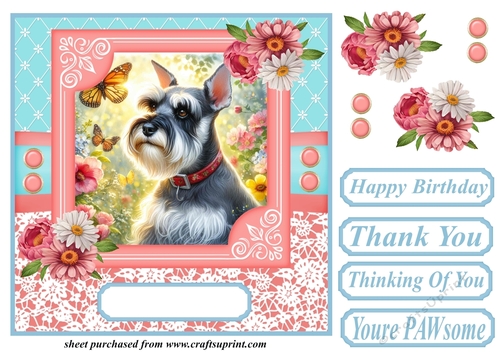 Pink and blue floral butterfly pup card front 5