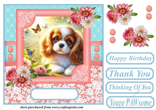 Pink and blue floral butterfly pup card front 6