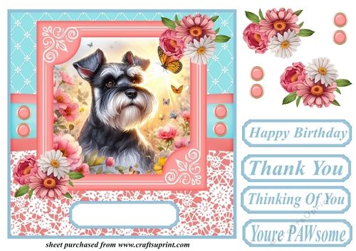Pink and blue floral butterfly pup card front 7