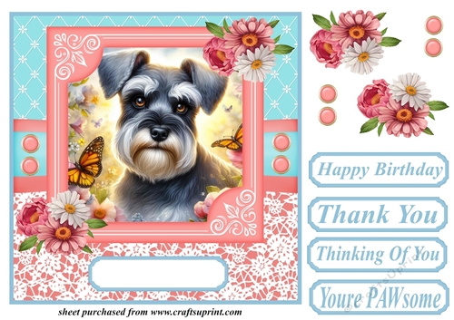 Pink and blue floral butterfly pup card front 9