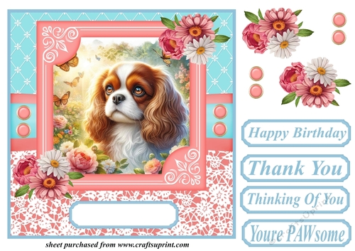 Pink and blue floral butterfly pup card front 11