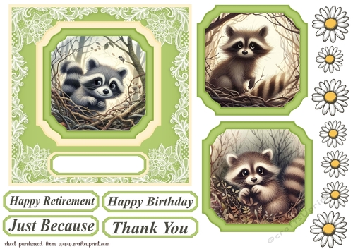 Raccoon card front 1