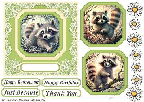 Raccoon card front 3