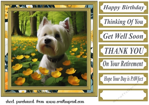 Westie in buttercup field card front 1