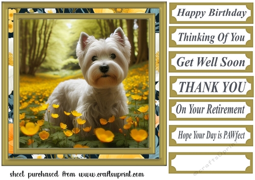 Westie in buttercup field card front 2